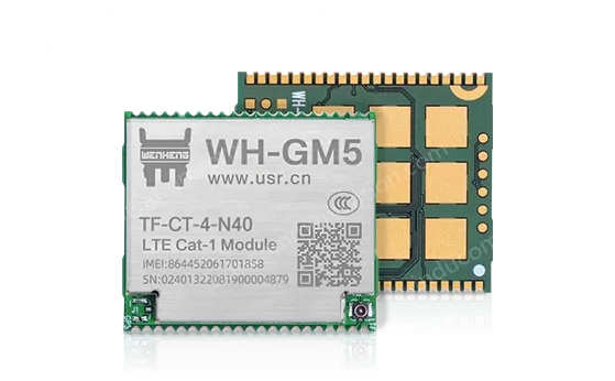 Cat-1 module