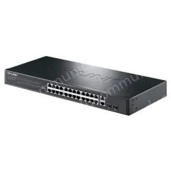 Combo Gigabit uplink Ethernet PoE switches